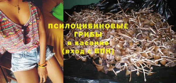хмурый Бронницы