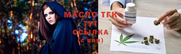 спиды Бородино