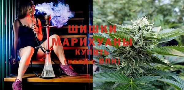 спиды Бородино