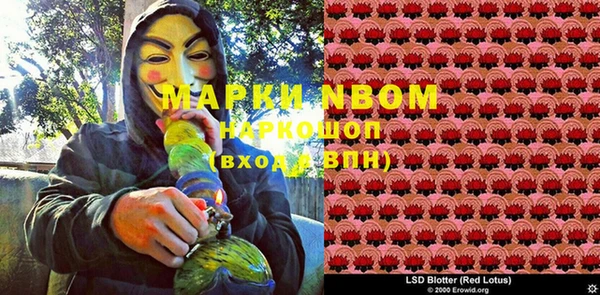 хмурый Бронницы