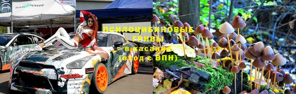 спиды Бородино