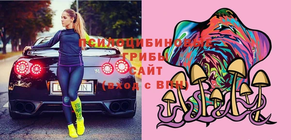 хмурый Бронницы